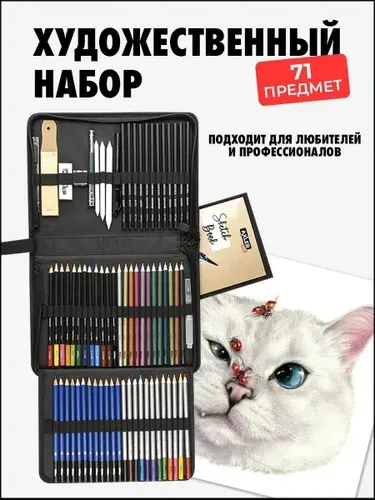 Набор простых и цветных карандашей (акварельные угольные металлик) для рисования и скетчинга художникам, мягкие твердые, скетчбук и профессиональные художественные предметы в пенале, 71 шт, AXLER Art