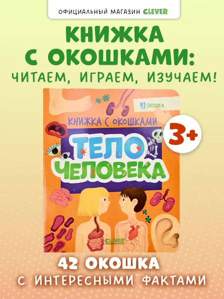 Издательство CLEVER Книжка с окошками. Тело человека. Книги для малышей