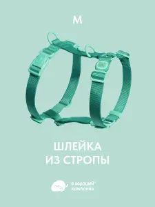 Шлейка для собак средних пород анатомическая IN GOOD COMPANY В ХОРОШЕЙ КОМПАНИИ, с адресником из стропы, M