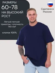 Футболка DARIYA & DIONIS мужская больших размеров на высокий рост удлиненная 1 шт