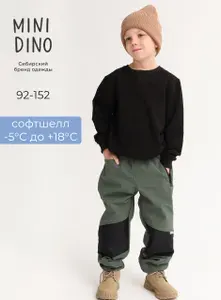 Брюки утепленные Minidino спортивные на флисе для мальчика, для девочки/ непромокаемые штаны детские софтшелл