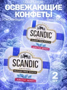 Освежающие конфеты SCANDIC Арктическая мята без сахара, 2 шт по 14 гр