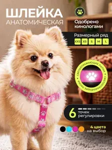 Шлейка для собак S мелких пород анатомическая Y-образная со светоотражающими элементами S