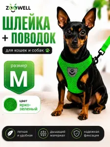 Шлейка и поводок для кошек, маленьких пород собак и хорьков ZOOWELL, набор для прогулок, зеленый размер M