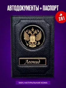 Обложка для автодокументов и паспорта Леонид