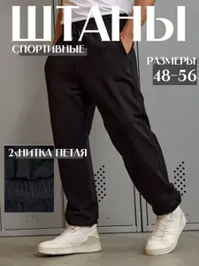 Брюки широкие Сила Образа мужские широкие демисезонные