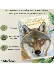 Лесные животные в натуральную величину | Хааг Хольгер