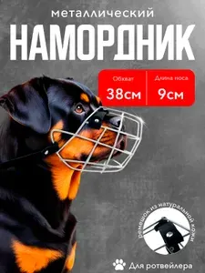 Намордник для собак средних и крупных пород металлический