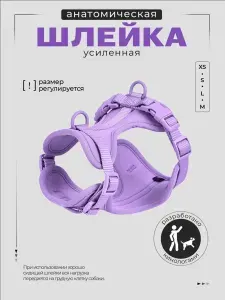 Шлейка прогулочная фиолетовая для собак средних пород