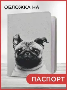 Обложка на паспорт женская
