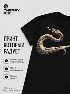 Футболка CherryPie футболка мужская_13 1 шт