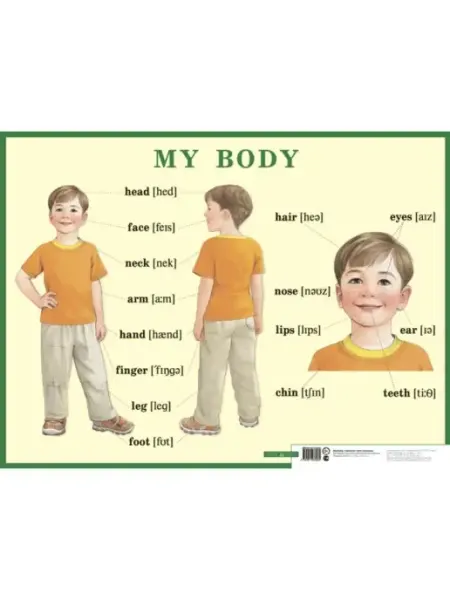 Строение тела человека. My body АЙРИС-пресс