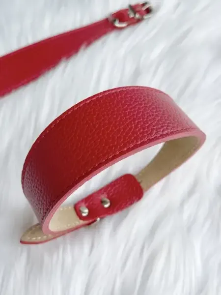 Dog collar Ошейник для собак больших пород строгий кожаный