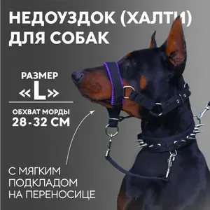 Недоуздок(халти) TESLA COLLAR для собак "M" с красным подкладом