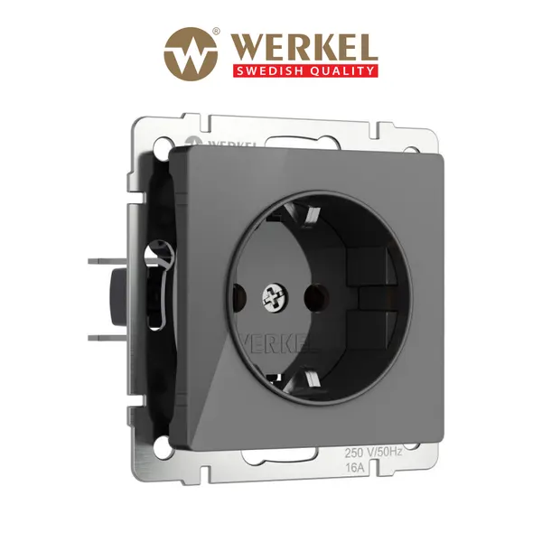 Встраиваемая розетка с заземлением и шторками Werkel W1171144, цвет графит акрил, IP31