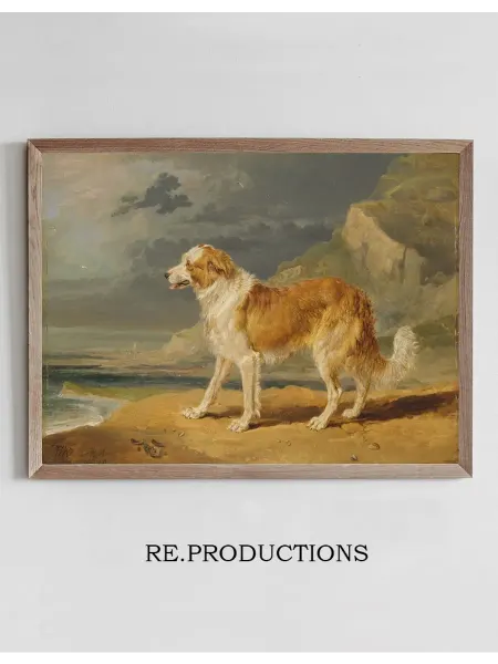 Re.productions Постер Rough-Coated Collie - James Ward