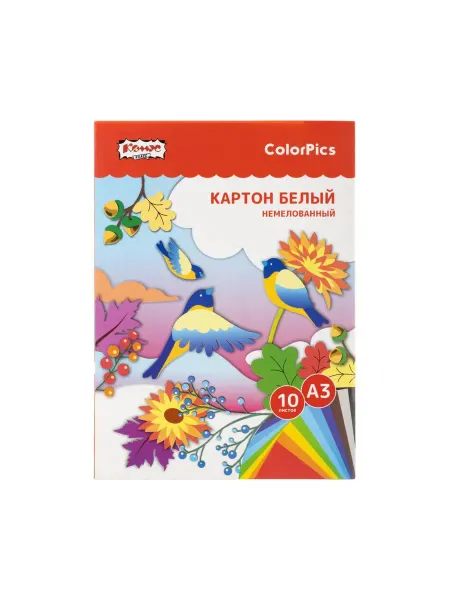 Комус Картон белый ColorPics 10л А3 немелован.папка
