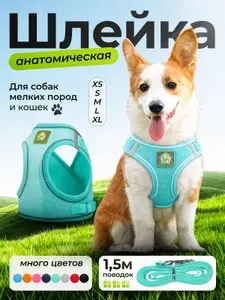Шлейка дышащая анатомическая со светоотражающими элементами для собак мелких пород и кошек с поводком 1,5м, размер XS, обхват груди 28-31см