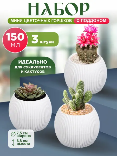 GDS Comfort Набор мини горшков для комнатных цветов 270 мл 2 штуки