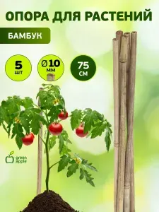 Опора для растений и цветов бамбуковая GBS-10-75 GREEN APPLE / поддержка для растений 75см х 10мм, 5 шт