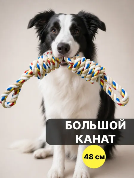 FRIENDS COMPANY Игрушка канат для собак крупных и средних пород