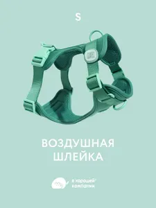 Анатомическая прогулочная шлейка с адресником для собак мелких пород IN GOOD COMPANY В ХОРОШЕЙ КОМПАНИИ (S / зеленый)