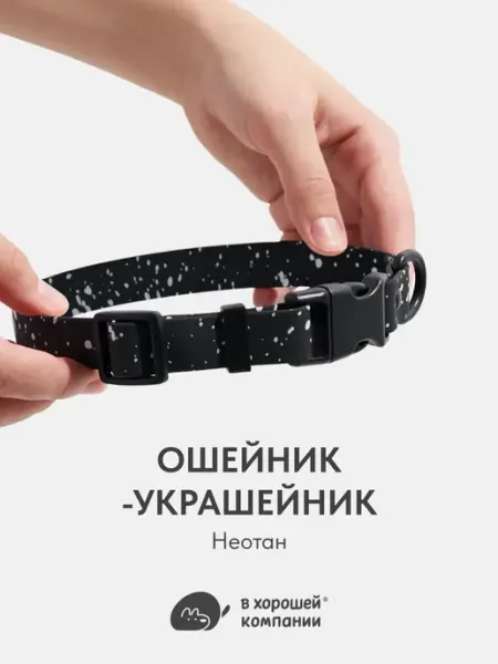 IN GOOD COMPANY Водонепроницаемый ошейник с адресником для собак и кошек