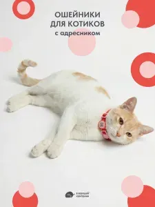 Ошейник с адресником для котов IN GOOD COMPANY В ХОРОШЕЙ КОМПАНИИ (XS / Настоящий красный / стропа)
