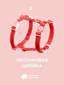 Анатомическая прогулочная шлейка для собак мелких пород IN GOOD COMPANY В ХОРОШЕЙ КОМПАНИИ (S / красный / неотан)