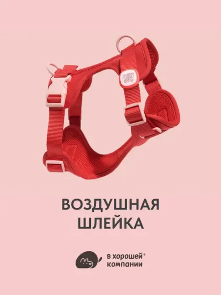 IN GOOD COMPANY Анатомическая прогулочная шлейка для собак, кошек и кроликов