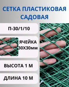 Сетка пластиковая для палисадника яч.30х30мм 1х10м