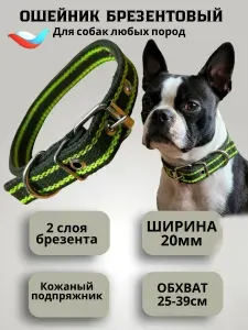 Ошейник для собак мелких пород двойной 20 мм брезентовый 2 полосы