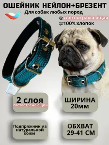 Ошейник для собак мелких пород двойной брезент + нейлон 20 мм светоотражающий