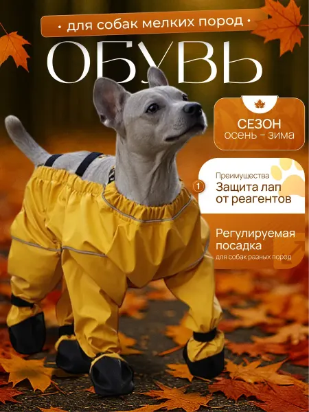 Conceptum Обувь для собак мелких средних пород непромокаемый
