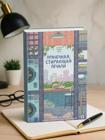 Прачечная, стирающая печали. Ким Джи Юн