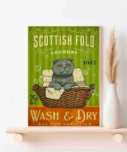 Шотландская вислоухая кошка, Wash & Dry All Fur V, Плакат Акварель А3 ( 30х42 см. )arieties
