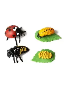 Набор фигурок Derri Animals Жизненный Цикл Божьей Коровки 85012, насекомые игрушки для детей маленькие комплект, 4 фигурки