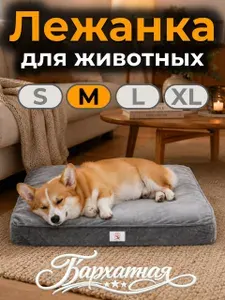 Лежанка для собак средних пород 80x70x9 СМ серая / Лежак со съемным чехлом и ортопедическим матрасом / Прочная и водонепроницаемая подстилка для собаки