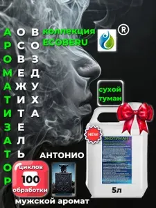 Ароматизатор для автомобиля ECOBERU. Сухой туман. Аромат Парфюм мужской Антонио. 5л