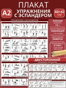 Плакат А2 двусторонний ламинированный Упражнения с эспандером