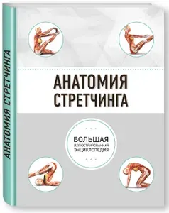 Анатомия стретчинга. Большая иллюстрированная энциклопедия | Книга б/у