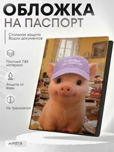 Мемная обложка на паспорт От меня щас что требуется
