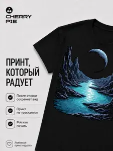 Футболка CherryPie футболка мужская_4 1 шт