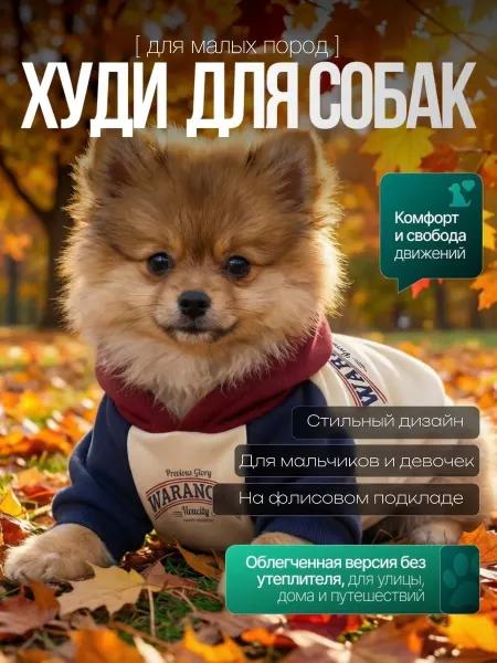 CRAFTORY PETS Худи повседневный всесезонный
