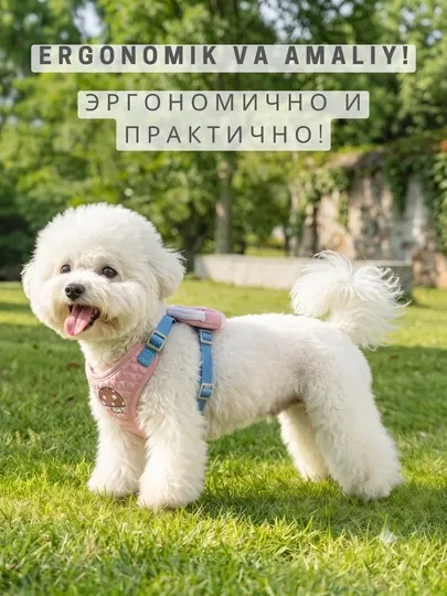 Анатомическая шлейка с поводком Kimpets и мини-рюкзаком для собак мелких пород и кошек - Амуниция для собак
