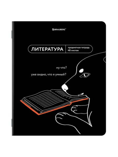 Тетрадь 48 л А5 ЛИТЕРАТУРА серия МЕМЫ BRAUBERG