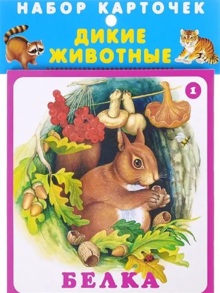 Издательство Искатель Карточки Дикие животные