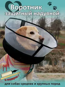 Защитный ветеринарный воротник для собак средних и крупных пород "Надувной", цвет черный, размер M, Rexy Crew