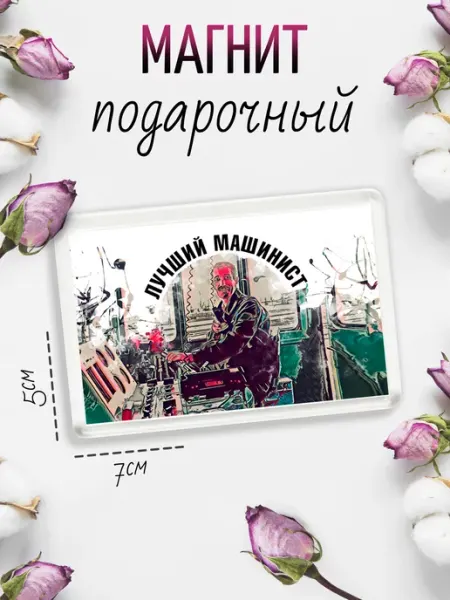 Магнит на холодильник Лучший Машинист Chappay