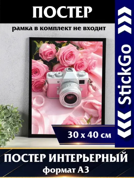 Постер Розовые розы и фотоаппарат А3 30х40 см на стену